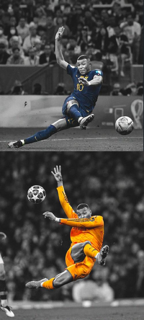 东体：海港计划1月中旬收队，俱乐部会评估合同到期球员